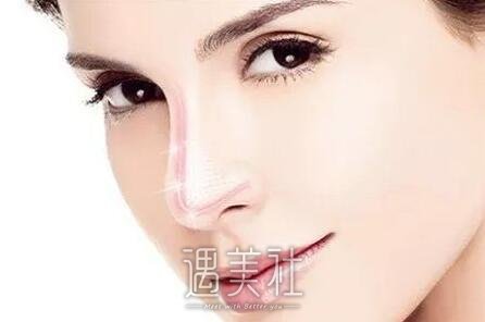 耳软骨鼻子