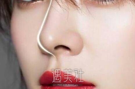 耳软骨鼻子