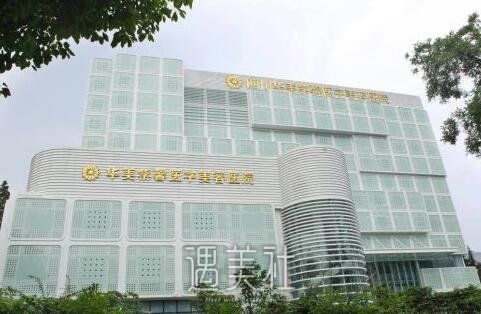 华美紫馨