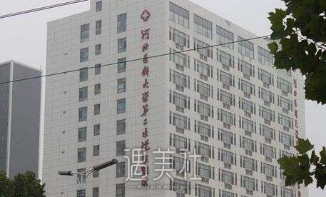 石家庄,张卓男