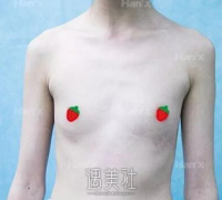 韩啸丰胸直播视频案例 width=