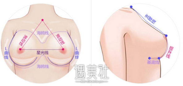 李朕,脂肪丰胸