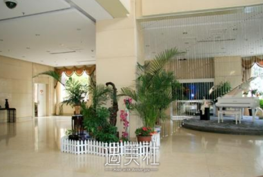 沈阳,杏林
