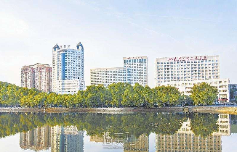 武汉植发正规三甲医院