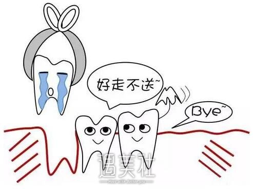 拔智齿后悔死了？拔智齿前先来看看这篇文章~