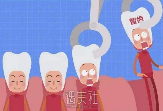 拔智齿后悔死了？拔智齿前先来看看这篇文章~