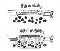 从事脑力工作的人，更容易脱发吗？ width=