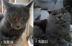 小脸变方脸，90%的人都是发腮了 width=