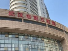 武汉市第三医院整形科电话|地址|简介|价格表2021~ width=