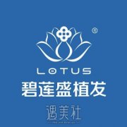 福州植发医院有哪些？热门植发机构名单汇总！ width=