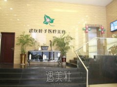 武汉十大正规整形医院排名榜单曝光，实力机构推荐 width=