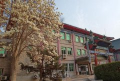 北京整形较好较的医院是哪家？靠谱三甲机构推荐~ width=