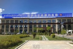 在西藏贝尔西医院，激光点斑和全脸填充的价格是多少？ width=